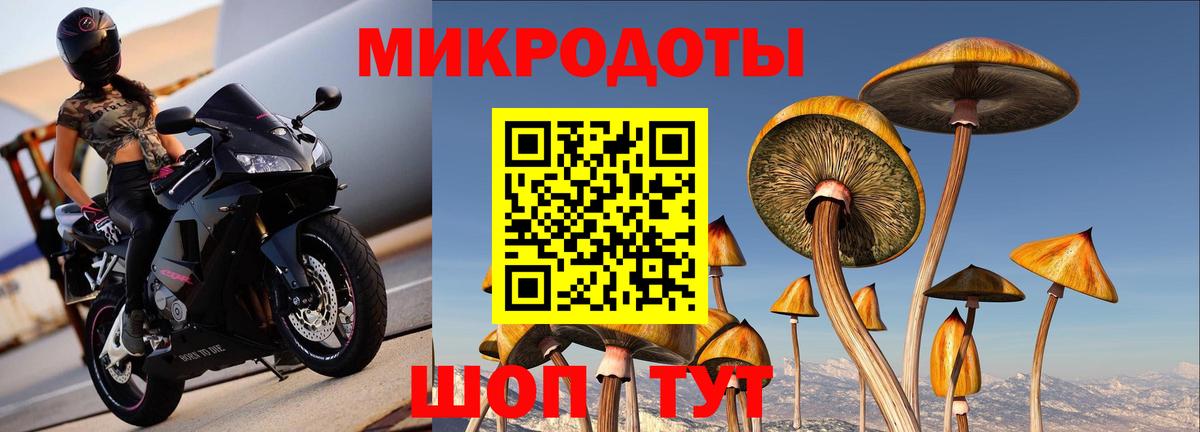 Псилоцибиновые грибы мицелий  продажа наркотиков  Славянск-на-Кубани  Вход с VPN  Псилоцибиновые грибы Cubensis 